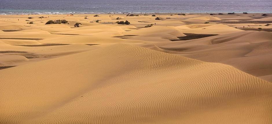 Villa Relax Bungalow With Parking Maspalomas  Exterior foto
